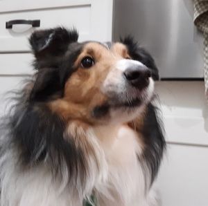 Meet your Posher, Deb